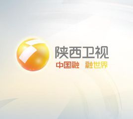陕西卫视伴音 radio logo