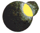 radio orbital radio logo