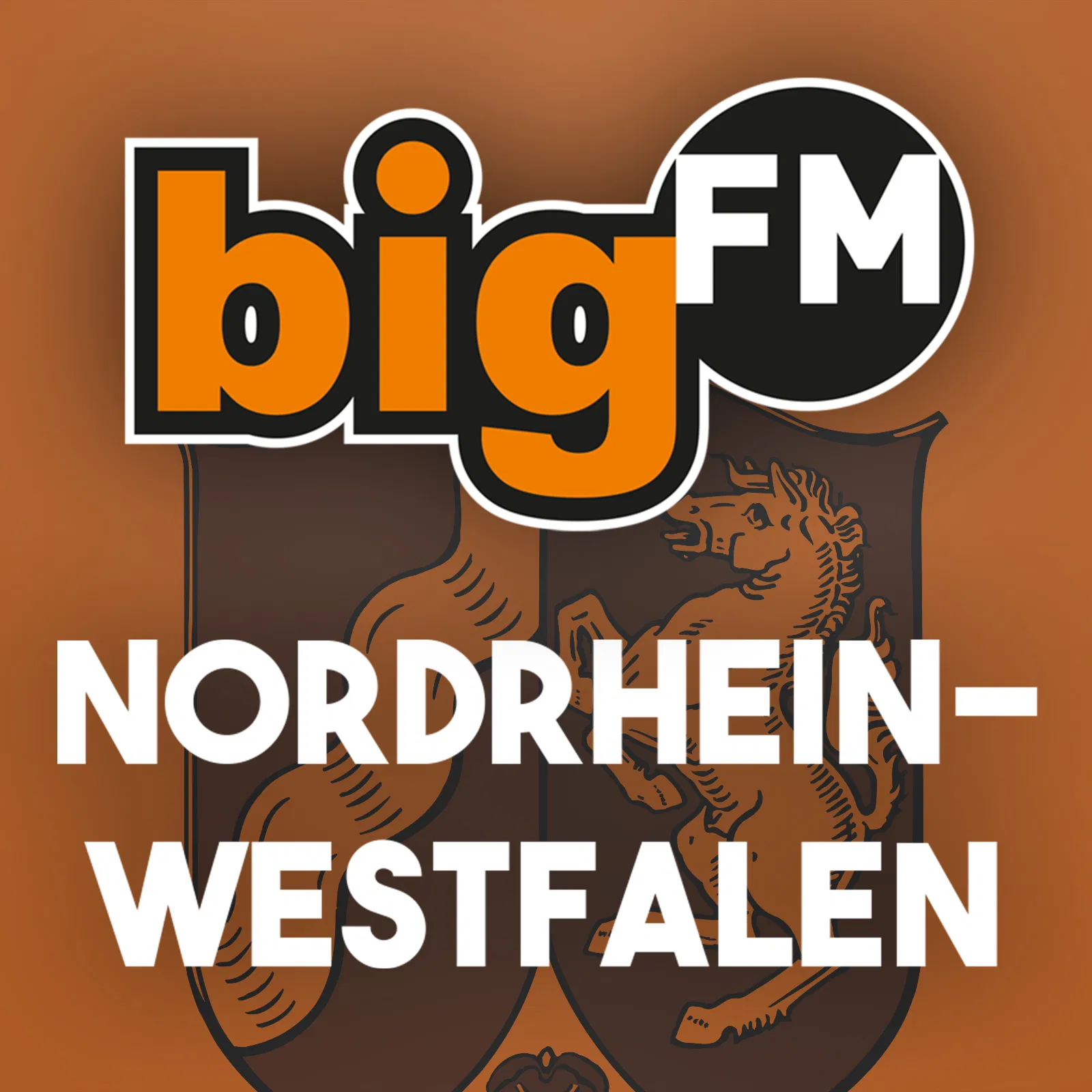 bigFM Nordrhein-Westfalen radio logo