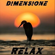 RADIO DIMENSIONE RELAX radio logo