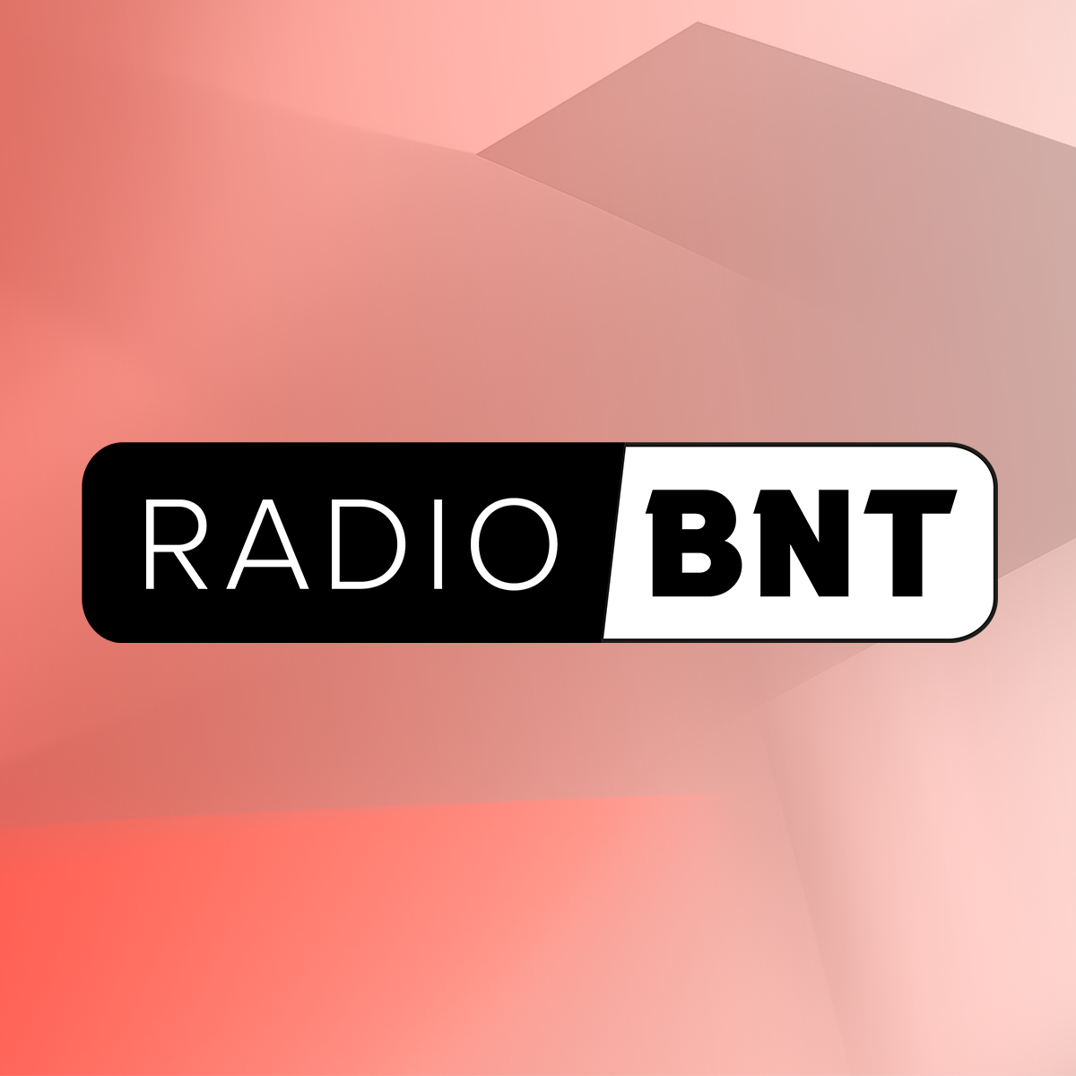Radio BNT radio logo