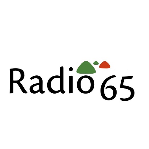 radio 65 radio logo