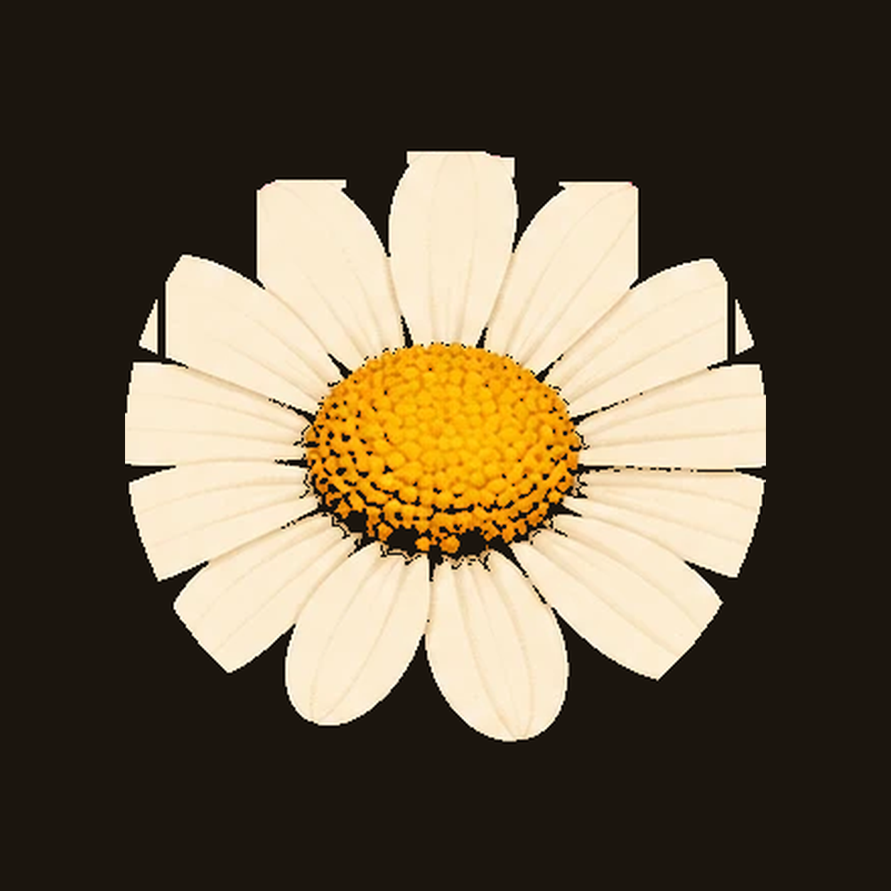 Ruud Radio radio logo