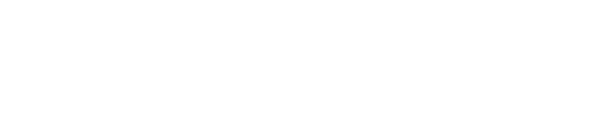 RTP - Radio ZigZag radio logo