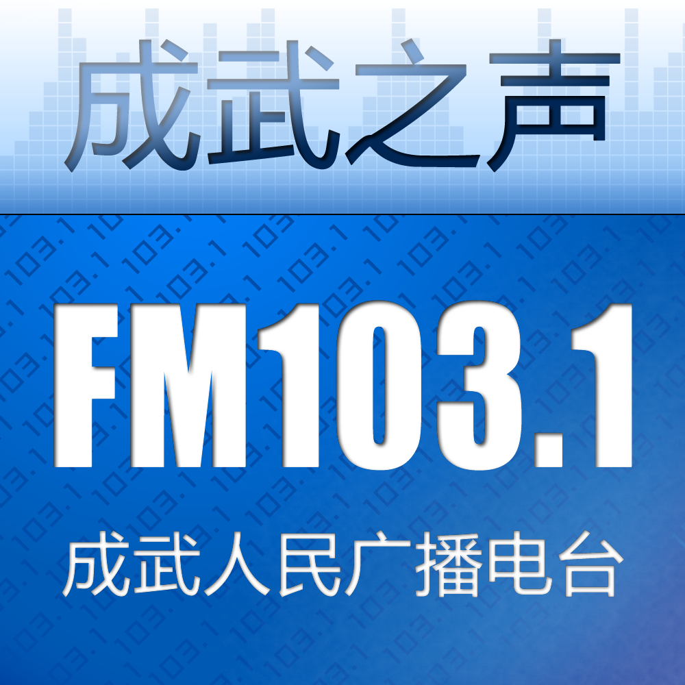 成武综合广播 radio logo
