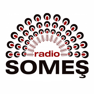 Radio Someș -Bistrița 96,6 FM radio logo