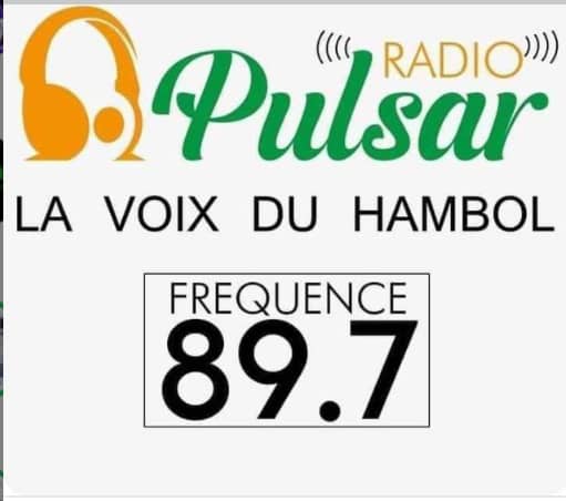 Radio Pulsar Katiola radio logo