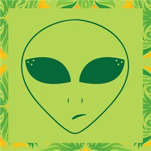 Ambi Nature Radio radio logo